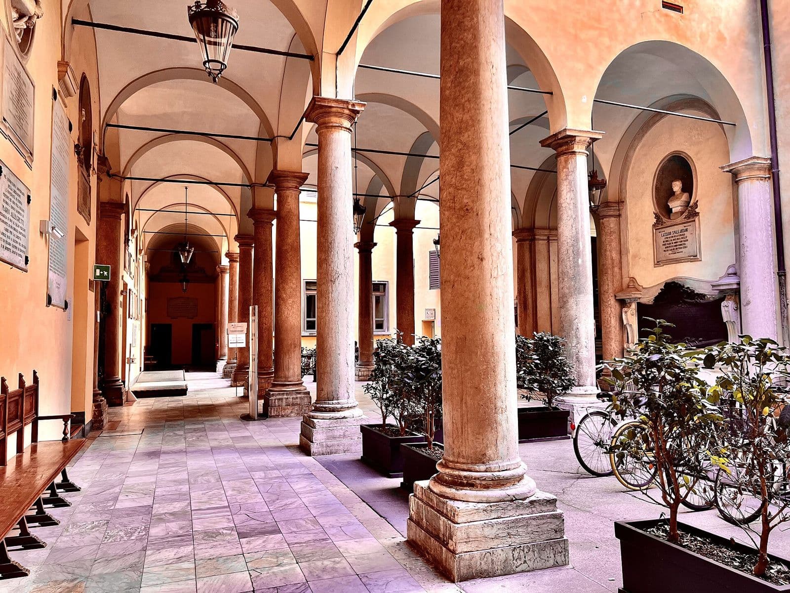 Il porticato del cortile del rettorato dell'Università di Modena e Reggio Emilia