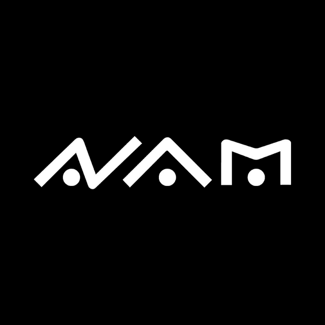 Logo NAM Music School
